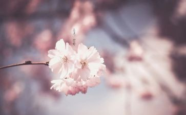 学生会三月计划7篇