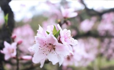 学生会三月工作计划7篇