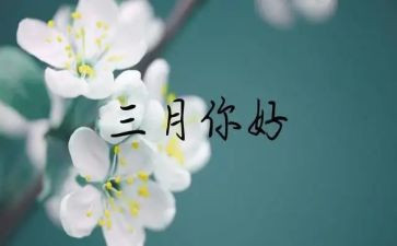 三月份教师组工作总结6篇