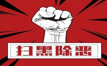 扫黑除恶工作年度总结8篇
