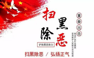 村小学扫黑除恶工作总结7篇