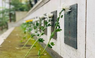 扫墓作文推荐8篇