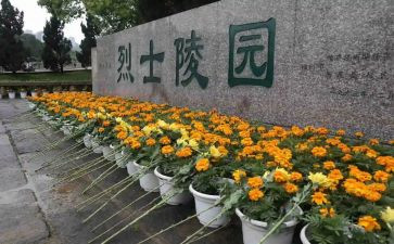 扫墓后心得体会参考6篇