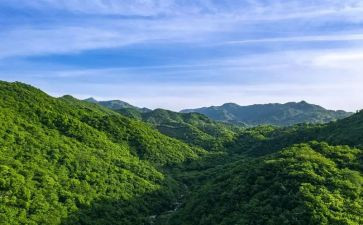 父爱如山500字作文8篇