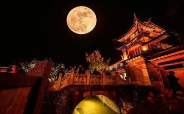 个人总结高一上学期8篇