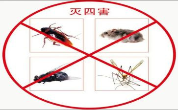 2022教师先进工作总结6篇