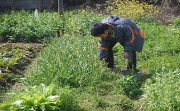 2023年食堂年终工作总结范文7篇