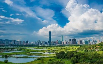 2024年深圳劳动合同6篇