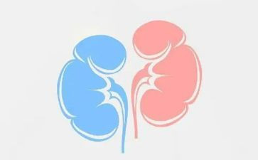 肾内科护士个人述职报告范文5篇