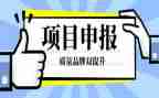 申报高级职称工作总结5篇