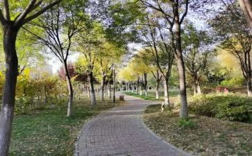教学上规工作计划参考5篇