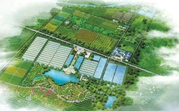 中大班重阳节活动方案6篇