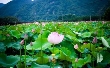 校生活部述职报告8篇