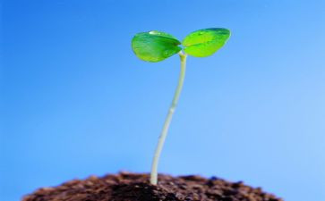 消防安全珍爱生命演讲稿6篇