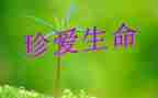 生命教育活动方案5篇