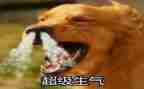 她生气了作文600字8篇
