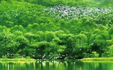 不正规离职申请书6篇