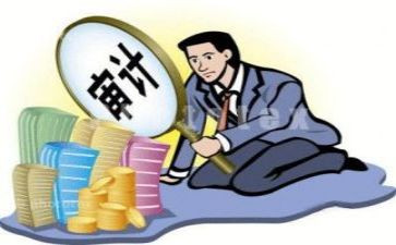 审计处工作总结7篇