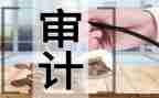 审计局述职职报告7篇