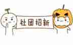 工作总结社团个人总结5篇