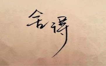 教师的舍与得心得体会最新7篇