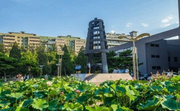 幼儿教师大班下学期个人总结模板7篇
