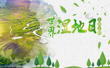 个人公司申请书最新6篇