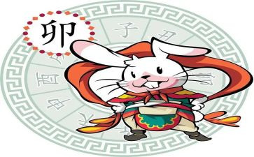 十二生肖的歌教案推荐8篇