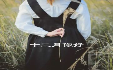 销售十二月工作总结5篇