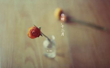 业务半年度工作报告8篇