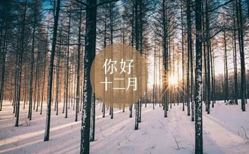 个人年度工作总结500字5篇