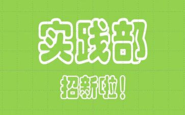 个人学生实践部工作总结8篇