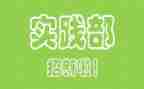 个人学生实践部工作总结8篇