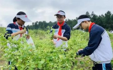实践课个人总结报告最新7篇