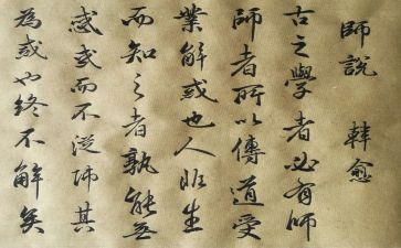 幼师说课培训心得体会优秀6篇