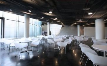 个人餐饮工作报告6篇