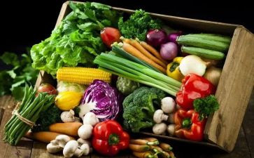 学校食物中毒应急预案8篇