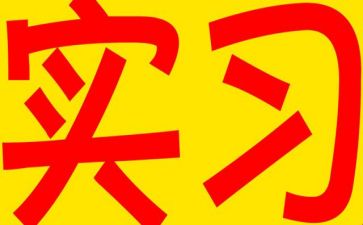 个人实习总结200范文推荐7篇