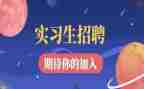 个人实践心得5篇