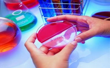 学校与实验工作计划8篇