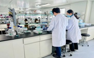 网络层实验心得体会7篇
