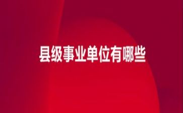 54系列主题活动总结8篇