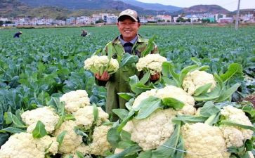 个人工作总结个人通用通用8篇