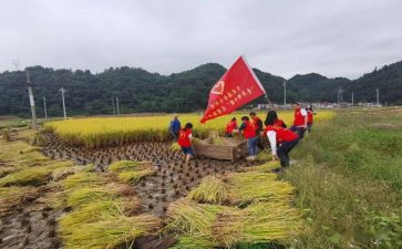 2023施工员年工作计划8篇