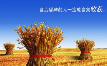 收获的工作总结6篇