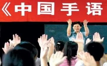 800字左右的作文最新6篇