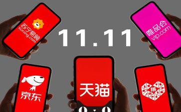快递公司双11工作总结6篇