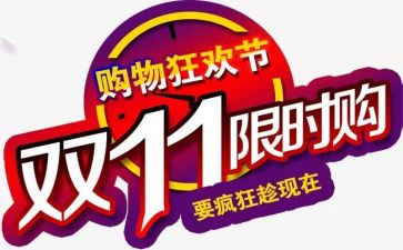 双11总结报告通用6篇