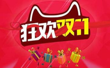 双11总结报告优质6篇