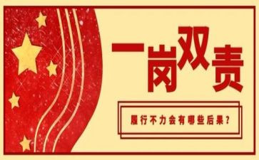 履行一岗双责工作总结5篇